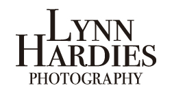 Lynn Hardies Photography